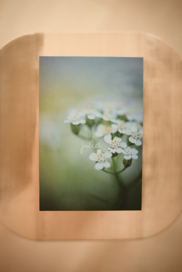 Coffret `XII` – Image 10