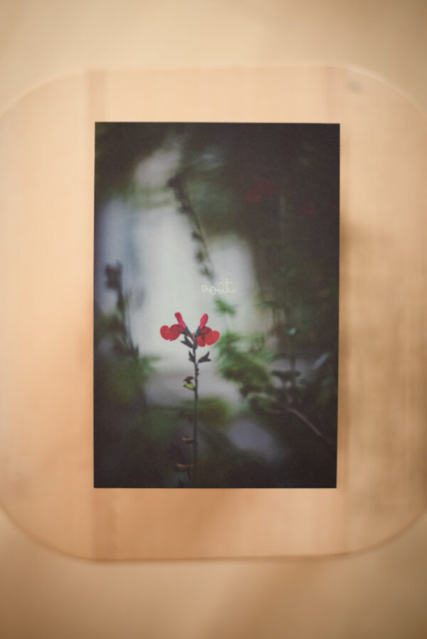 Coffret `XII` – Image 11