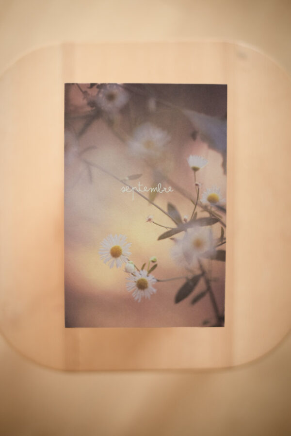 Coffret `XII` – Image 12