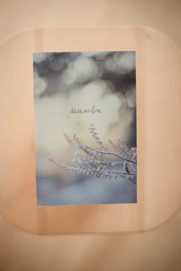 Coffret `XII` – Image 15
