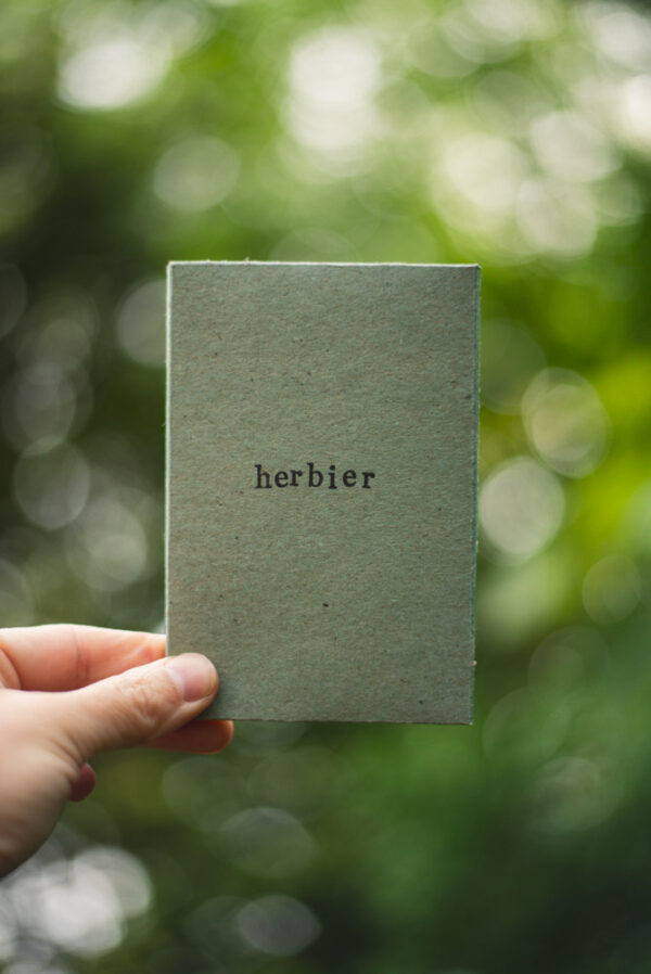 Coffret herbier
