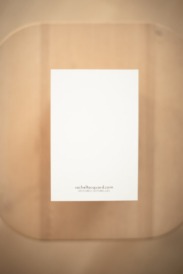 Coffret `XII` – Image 16