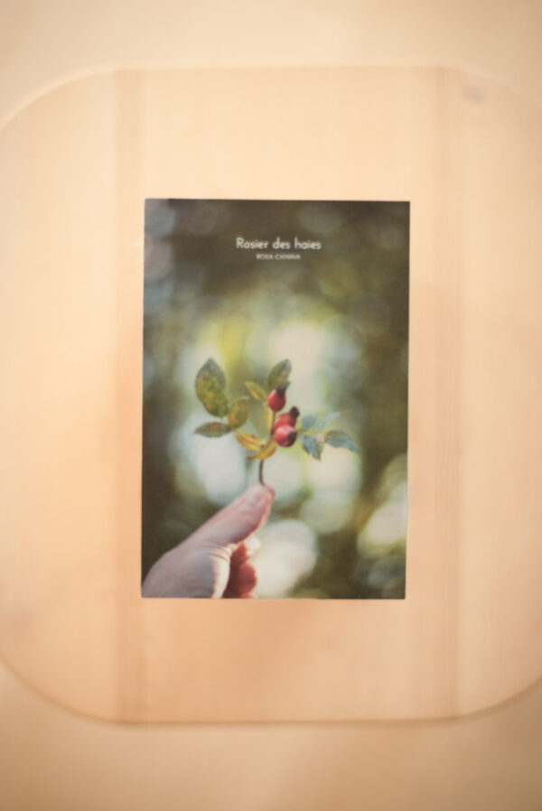 Coffret herbier – Image 6