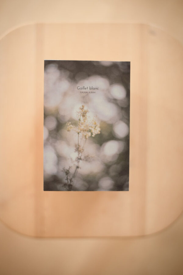 Coffret herbier – Image 7