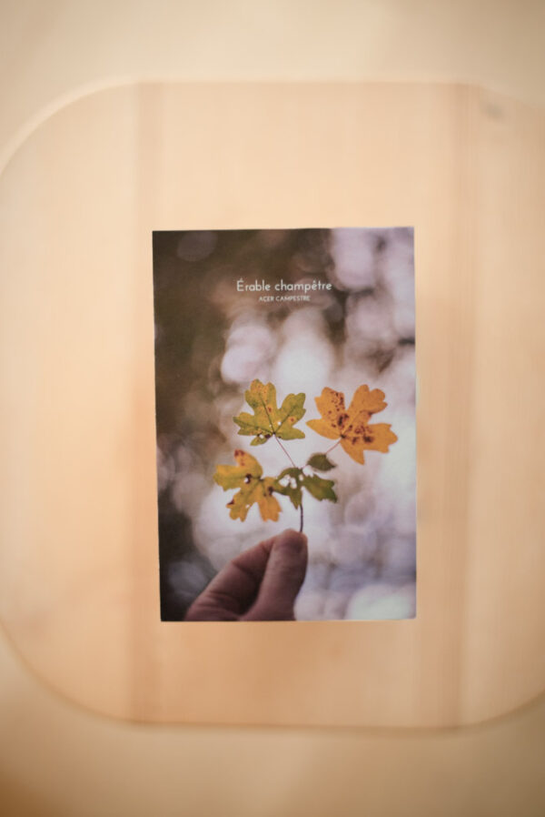 Coffret herbier – Image 9