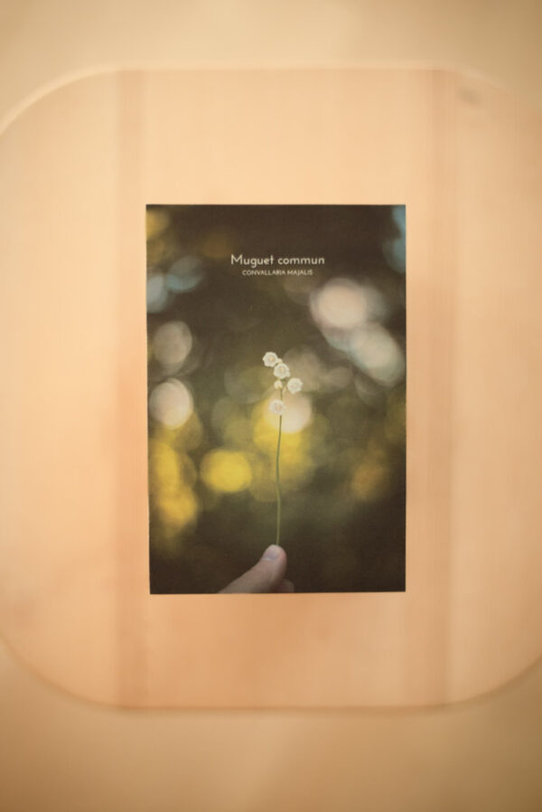 Coffret herbier – Image 11