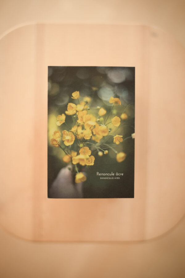 Coffret herbier – Image 12