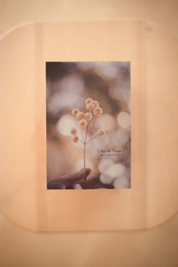 Coffret herbier – Image 14