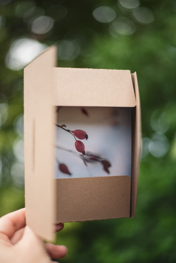 Coffret `XII` – Image 3