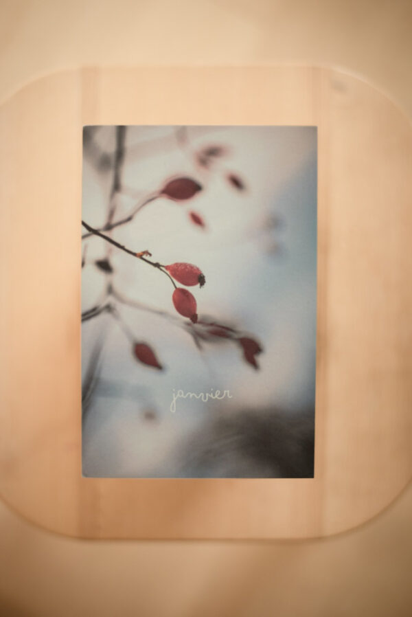 Coffret `XII` – Image 4