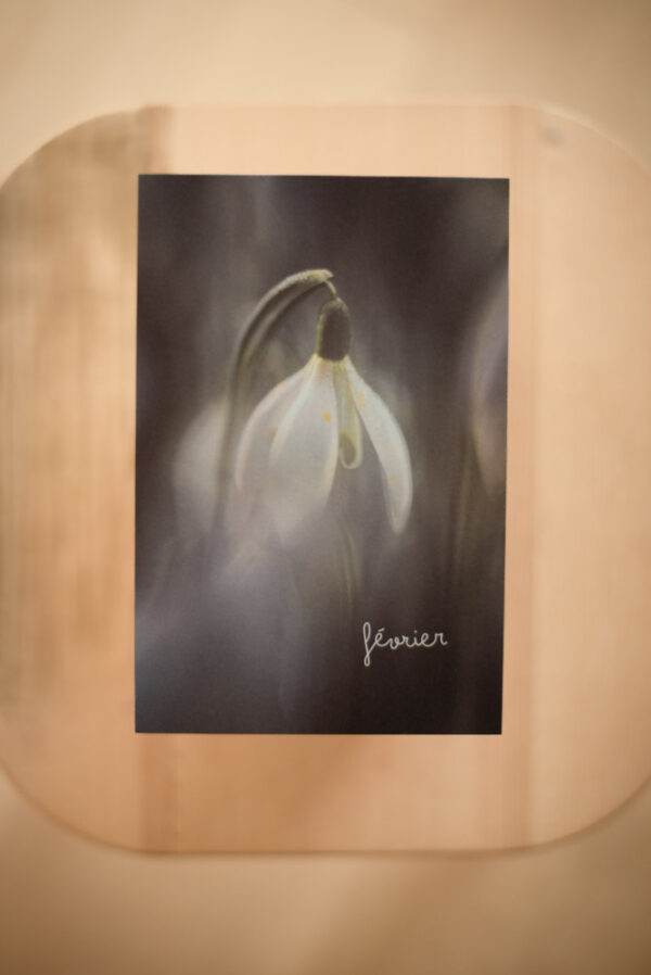 Coffret `XII` – Image 5