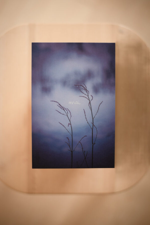 Coffret `XII` – Image 8