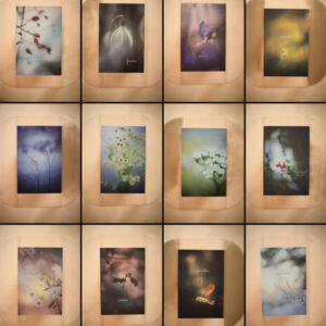 Coffrets de 12 cartes